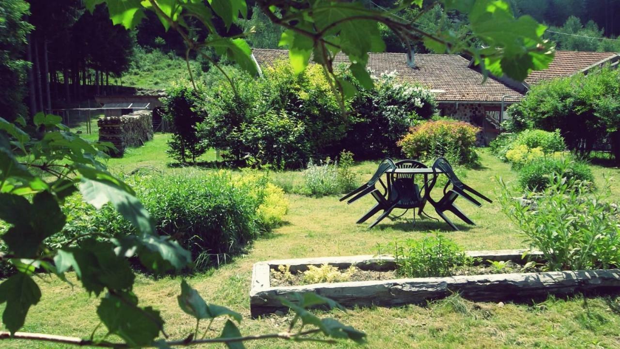 La Boissellerie Otel Saulxures-sur-Moselotte Dış mekan fotoğraf